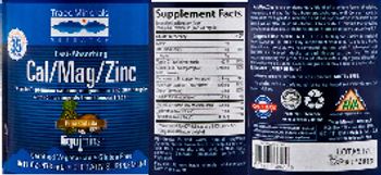 Trace Minerals Research Fast-Absorbing Cal/Mag/Zinc Pina Colada - supplement