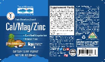 Trace Minerals Research Fast-Absorbing Liquid Cal/Mag/Zinc Pina Colada Flavor - supplement