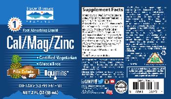 Trace Minerals Research Fast-Absorbing Liquid Cal/Mag/Zinc Pina Colada - supplement