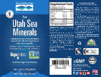 Trace Minerals Research Pure Utah Sea Minerals - supplement