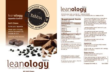 TriVita Leanology Appetite Control Chocolate Mocha - 