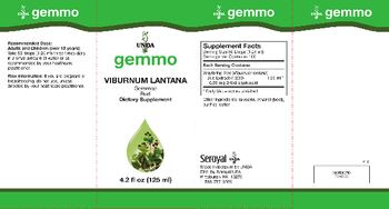 UNDA Gemmo Viburnum Lantana - supplement