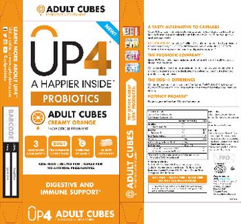UP4 Adult Cubes Creamy Orange - probiotic supplement