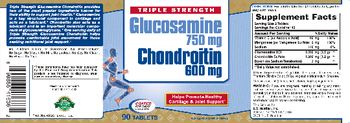 U.S. Nutrition Triple Strength Glucosamine 750 mg Chondroitin 600 mg - supplement