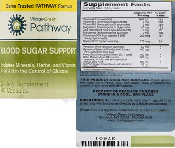 Village Green Pathway Blood Sugar Support - supplement