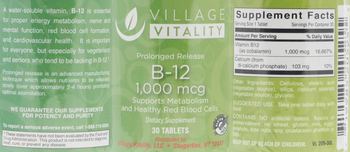 Village Vitality B-12 1,000 mcg - supplement