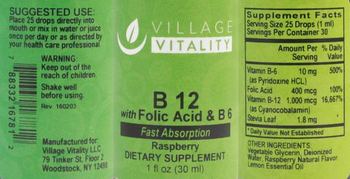 Village Vitality B 12 with Folic Acid & B 6 Raspberry - supplement