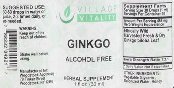 Village Vitality Ginkgo Alcohol Free - herbal supplement
