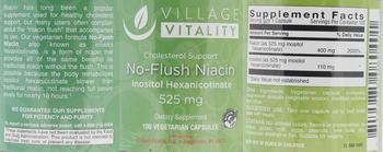 Village Vitality No-Flush Niacin - supplement