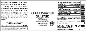 Vitamer Laboratories Glucosamine Sulfate 500 mg - supplement