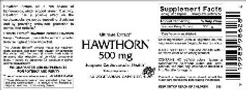 Vitamer Laboratories Hawthorn 500 mg - supplement