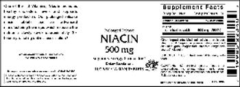 Vitamer Laboratories Niacin 500 mg - supplement