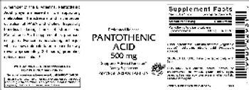 VitaCeutical Labs Pantothenic Acid 500 mg - supplement