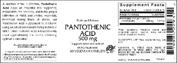 Vitamer Laboratories Pantothenic Acid 500 mg - supplement
