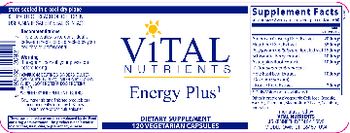 Vital Nutrients Energy Plus - supplement