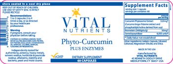 Vital Nutrients Phyto-Curcumin plus Enzymes - supplement