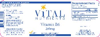 Vital Nutrients Vitamin B6 250 mg - supplement