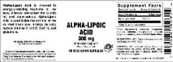 Vitamer Laboratories Alpha-Lipoic Acid 300 mg - supplement