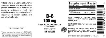 Vitamer Laboratories B-6 100 mg - supplement