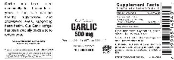 Vitamer Laboratories Garlic 500 mg - supplement