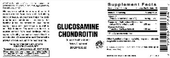 Vitamer Laboratories Glucosamine Chondroitin - supplement