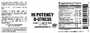 Vitamer Laboratories Hi Potency B-Stress - supplement