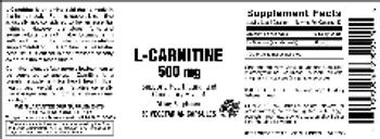 Vitamer Laboratories L-Carnitine 500 mg - supplement