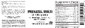 Vitamer Laboratories Prenatal Multi - supplement