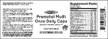 Vitamer Laboratories Prenatal Multi Once Daily Caps - supplement