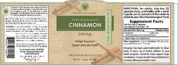 Vitamin World Cinnamon 500 mg - herbal supplement