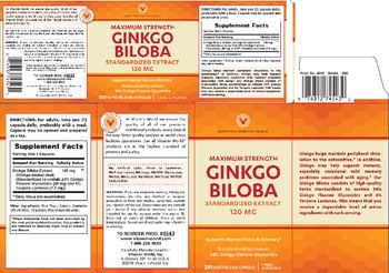 Vitamin World Ginkgo Biloba 120 mg - herbal supplement