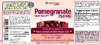 Vitamin World Youth Guard Pomegranate 250 mg - supplement
