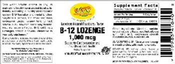 VSN Vital Strength Nutrition B-12 Lozenge 1,000 mcg Luscious Natural Raspberry Flavor - supplement