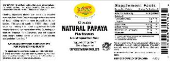 VSN Vital Strength Nutrition Chewable Natural Papaya Plus Enzymes Natural Tropical Fruit Flavor - supplement