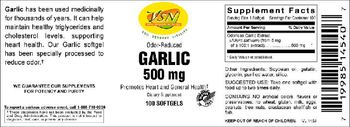 VSN Vital Strength Nutrition Garlic 500 mg - supplement