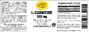 VSN Vital Strength Nutrition L-Carnitine 500 mg - supplement