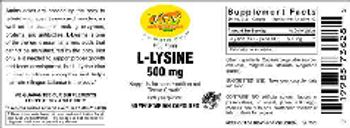 VSN Vital Strength Nutrition L-Lysine 500 mg - supplement