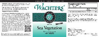 Wachters' No. 22 B Sea Vegetation - supplement