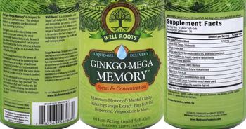 Well Roots Ginkgo-Mega Memory - supplement