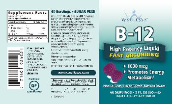 Wellesse B-12 1000 mcg Natural Berry Flavor - liquid supplement