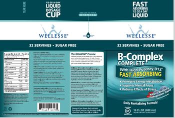 Wellesse B-Complex Complete Natural Blueberry Pomegranate Flavor - liquid supplement
