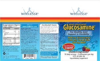 Wellesse Joint Movement Glucosamine Natural Berry Flavor - liquid supplement