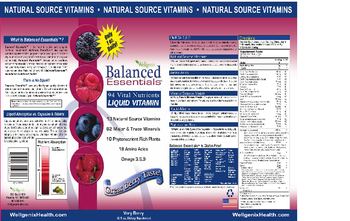 Wellgenix Balanced Essentials Very Berry - supplement