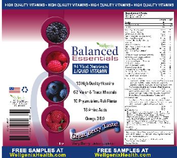Wellgenix Balanced Essentials Very Berry - supplement