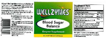 WellZymes Blood Sugar Balance - enzyme supplement