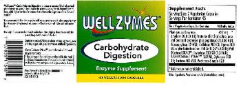 WellZymes Carbohydrate Digestion - enzyme supplement
