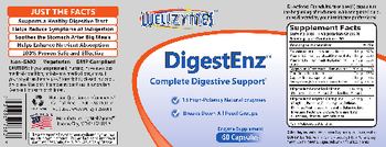 WellZymes DigestEnz - enzyme supplement