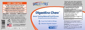 WellZymes DigestEnz Chew Great Tasting Natural Fruit Flavors - enzyme supplement