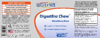 WellZymes DigestEnz Chew Mixed Berry Blast - enzyme supplement