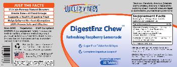 WellZymes DigestEnz Chew Refreshing Raspberry Lemonade - enzyme supplement